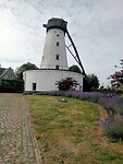 Afbeelding van WhatsApp op 2025-05-22 om 22.07.18_2e0fc01b