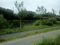 Afbeelding van WhatsApp op 2025-05-24 om 22.05.22_00181514