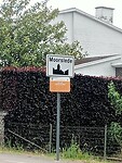 IMG-20250525-WA0002