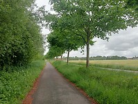 IMG-20250525-WA0008