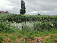 IMG-20250525-WA0011