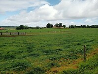 IMG-20250525-WA0012