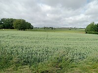IMG-20250525-WA0013