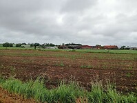IMG-20250525-WA0017