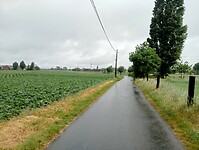 IMG-20250525-WA0020