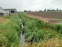 IMG-20250525-WA0021
