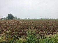 IMG-20250525-WA0022