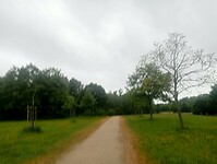IMG-20250525-WA0026