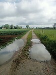 Afbeelding van WhatsApp op 2025-05-28 om 14.36.43_a852df49