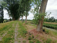 Afbeelding van WhatsApp op 2025-05-30 om 18.32.54_5a97afae