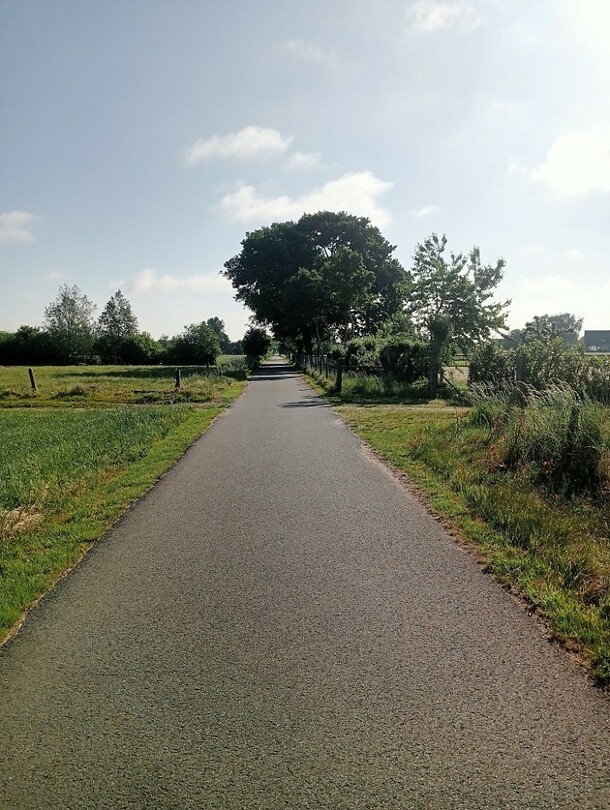 Afbeelding van WhatsApp op 2025-05-30 om 18.33.07_de5d8475