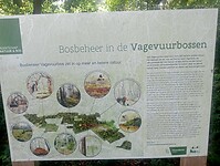 Afbeelding van WhatsApp op 2025-06-01 om 06.29.20_848e7f88