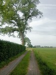 Afbeelding van WhatsApp op 2025-06-01 om 06.29.24_d641bcd6