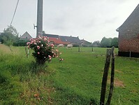 Afbeelding van WhatsApp op 2025-06-01 om 15.01.50_cbc83a47