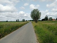 Afbeelding van WhatsApp op 2025-06-04 om 19.55.54_316ada86