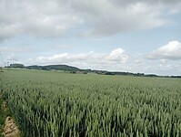 Afbeelding van WhatsApp op 2025-06-04 om 19.56.00_a8094751