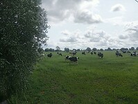 Afbeelding van WhatsApp op 2025-06-06 om 20.46.25_ba03ab2a