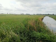 Afbeelding van WhatsApp op 2025-06-06 om 20.46.35_129ea694