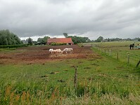 Afbeelding van WhatsApp op 2025-06-07 om 21.22.17_8ca02f8f