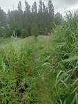 Afbeelding van WhatsApp op 2025-06-07 om 21.22.34_879ec3be