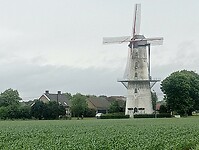 Afbeelding van WhatsApp op 2025-06-07 om 21.22.36_b2c287e8