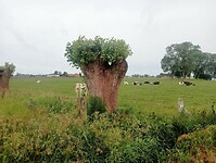 Afbeelding van WhatsApp op 2025-06-07 om 21.22.37_39f2e12e