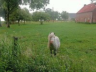 Afbeelding van WhatsApp op 2025-06-07 om 21.22.37_73b12293
