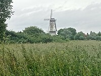 Afbeelding van WhatsApp op 2025-06-07 om 21.22.37_f9b72589