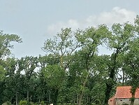 Afbeelding van WhatsApp op 2025-06-08 om 21.07.08_150a6370