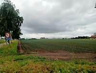 Afbeelding van WhatsApp op 2025-06-08 om 21.07.11_166bc62e