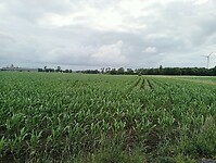 Afbeelding van WhatsApp op 2025-06-08 om 21.07.11_a8b53877