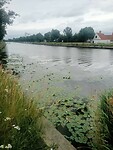 Afbeelding van WhatsApp op 2025-06-10 om 17.10.23_6fc45ee6