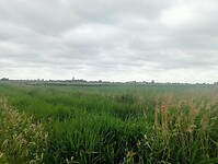 Afbeelding van WhatsApp op 2025-06-10 om 17.10.24_25119811