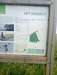 Afbeelding van WhatsApp op 2025-06-10 om 17.10.27_bab365f1