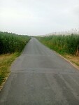 Afbeelding van WhatsApp op 2025-06-10 om 17.10.40_1ec36f9c
