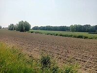 Afbeelding van WhatsApp op 2025-06-11 om 14.53.45_f0e0bed6