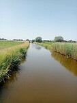 Afbeelding van WhatsApp op 2025-06-11 om 14.53.49_a7644fd0