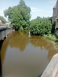 IMG-20250612-WA0003
