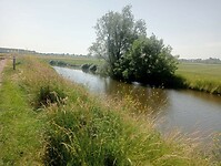 IMG-20250612-WA0006