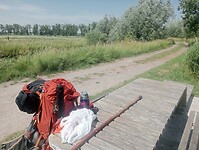 IMG-20250612-WA0007
