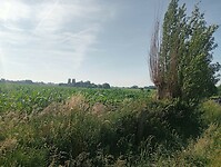 IMG-20250612-WA0013