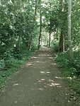 IMG-20250612-WA0015