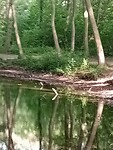 IMG-20250612-WA0016