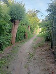 IMG-20250612-WA0020