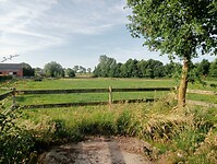 IMG-20250612-WA0021