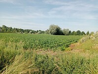 IMG-20250612-WA0022