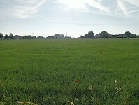 IMG-20250612-WA0023