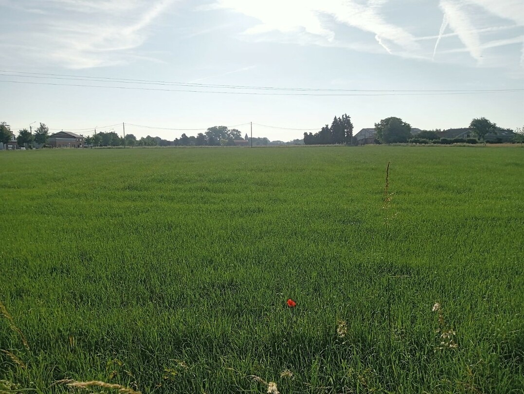 IMG-20250612-WA0023