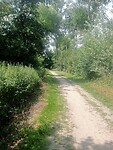 IMG-20250613-WA0006