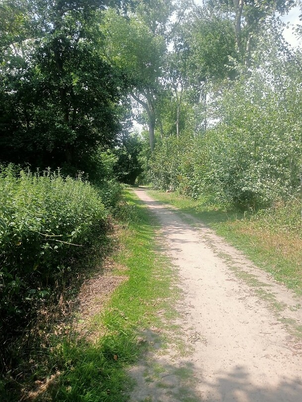 IMG-20250613-WA0006